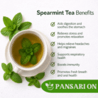 spearmint tea benefits, pansari on (1)
