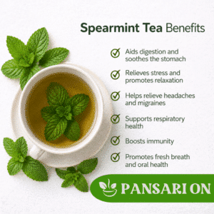 spearmint tea benefits, pansari on (1)