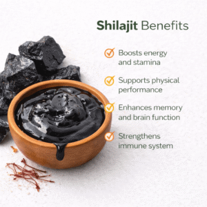 shilajit benefits