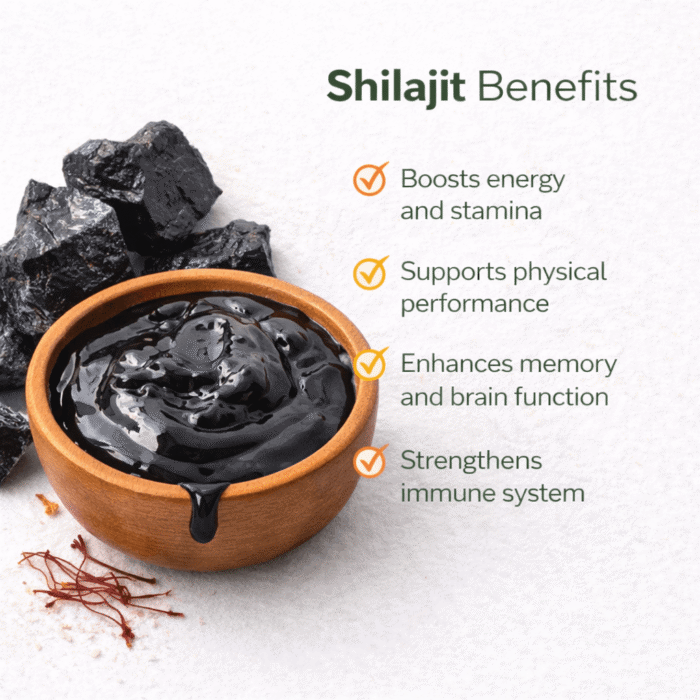shilajit benefits